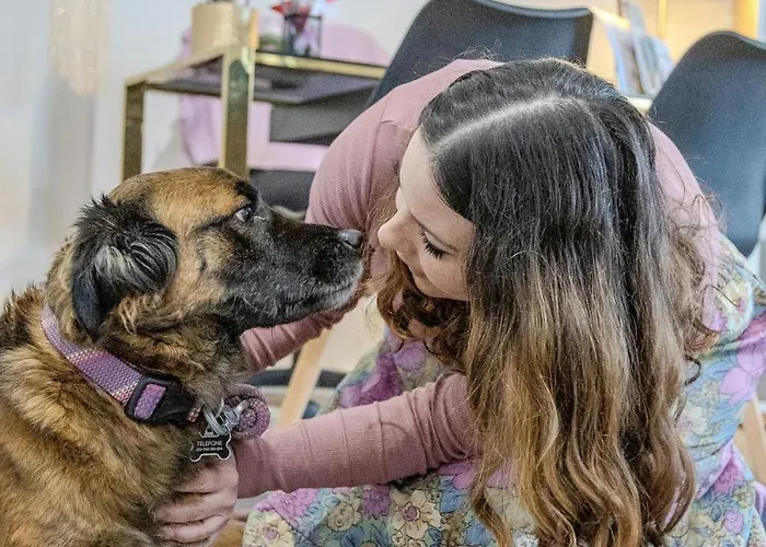 Vagabond Mermaid Bed & Breakfast *