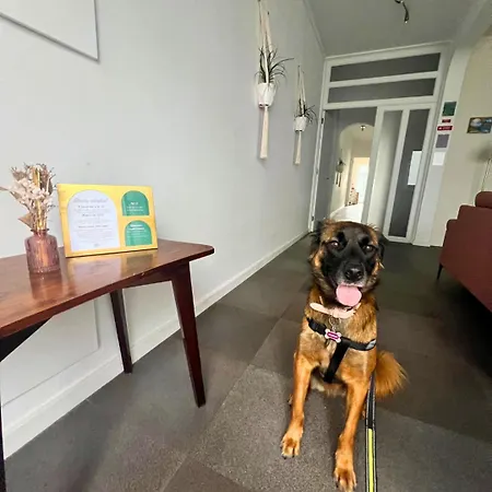 Bed & Breakfast Vagabond Mermaid Ponta Delgada