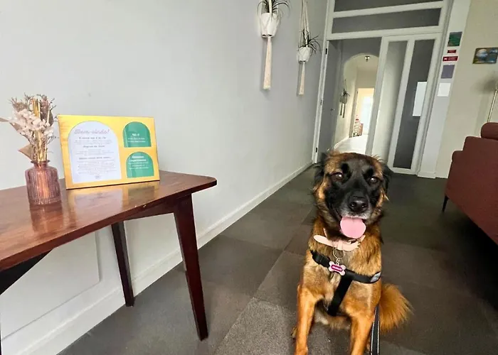 Bed & Breakfast Vagabond Mermaid Ponta Delgada (Sao Miguel)