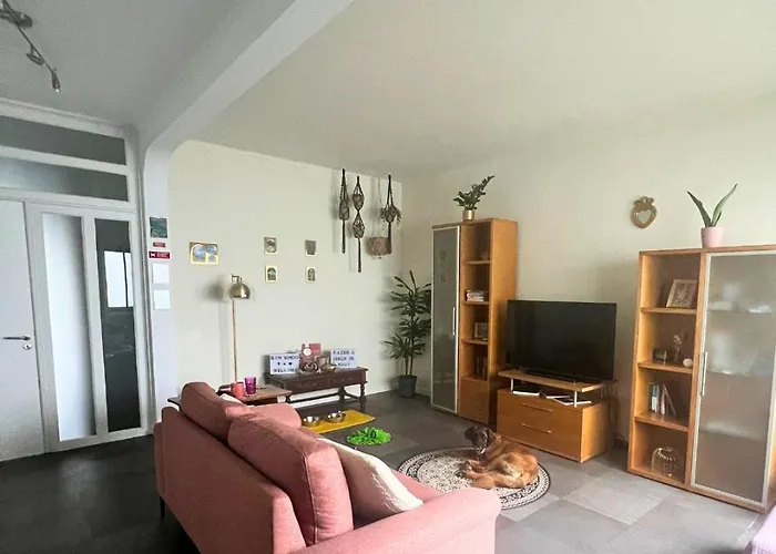 Vagabond Mermaid Bed & Breakfast Ponta Delgada (Sao Miguel)